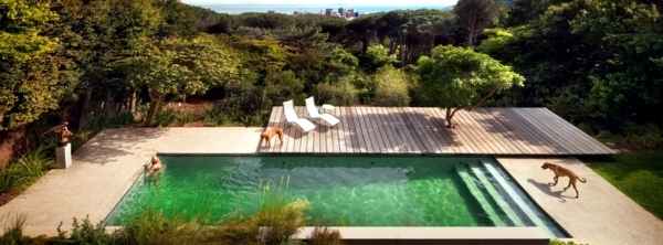 101 pictures of pool in the garden