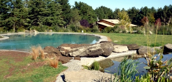 101 pictures of pool in the garden