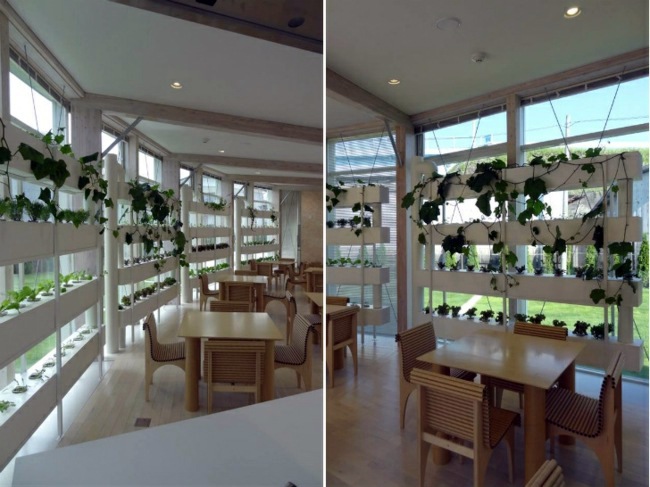 Modern architecture for charitable purposes in Fukushima