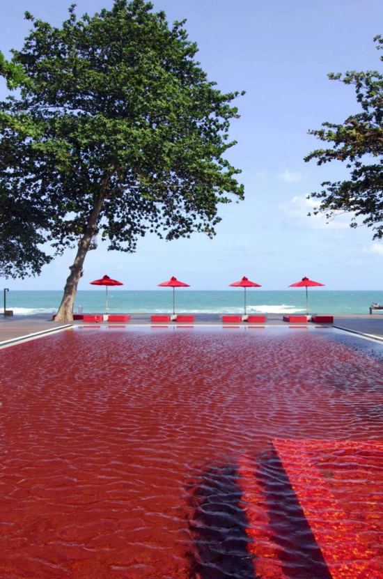 Hotels - Minimalist Design Hotel - The Library in Koh Samui Hotels - Minimalist Design Hotel - The Library in Koh Samui