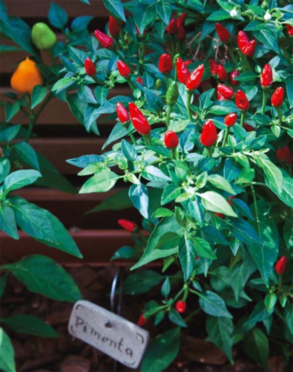 Create a vertical garden for your home by wooden panels Create a vertical garden for your home by wooden panels
