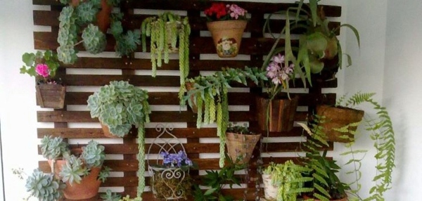 Create a vertical garden for your home by wooden panels