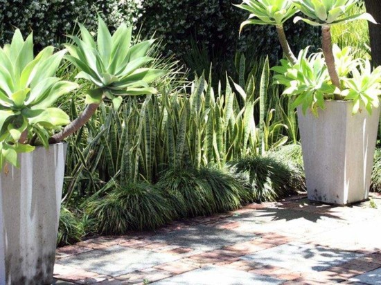 Mediterranean Garden - this is an achievable goal in Germany?
