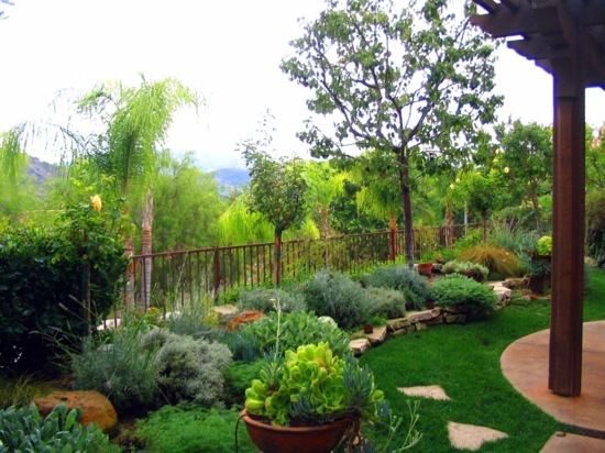 Mediterranean Garden - this is an achievable goal in Germany?