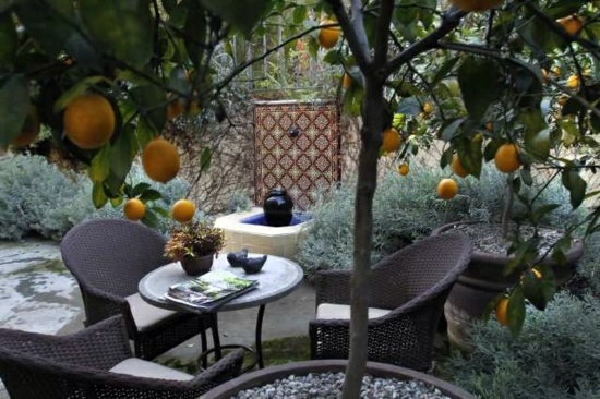 Mediterranean Garden - this is an achievable goal in Germany?