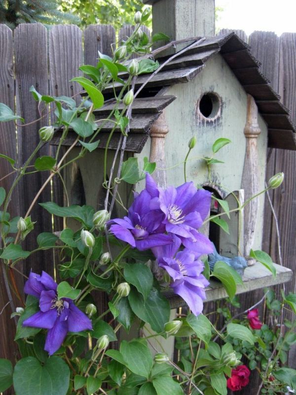 Build bird house itself - DIY instructions and 40 ideas for you Build bird house itself - DIY instructions and 40 ideas for you
