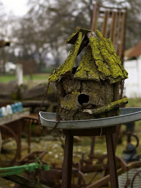 Build bird house itself – DIY instructions and 40 ideas 