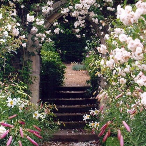 Cool garden design with Rose Arch
