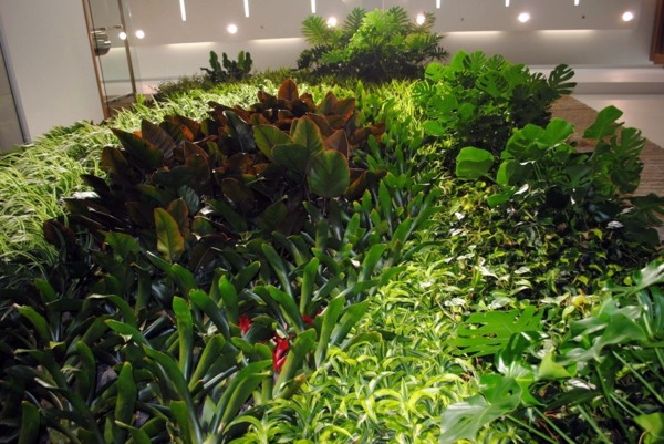 Wall decoration with plants - Live Picture refreshes the air and ambience