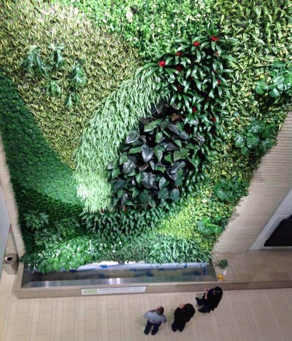 Wall decoration with plants - Live Picture refreshes the air and ambience