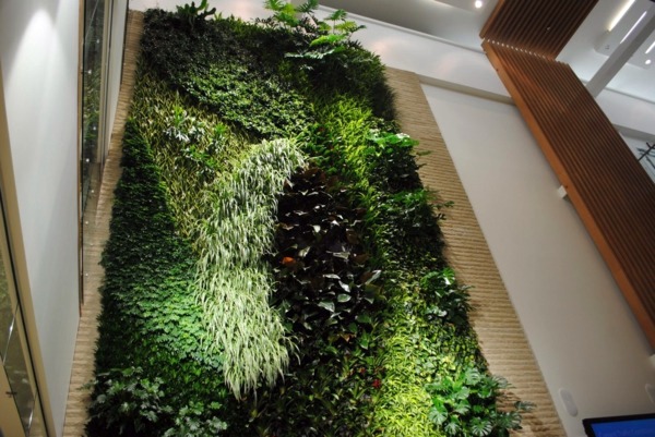 Wall decoration with plants - Live Picture refreshes the air and ambience Wall decoration with plants - Live Picture refreshes the air and ambience