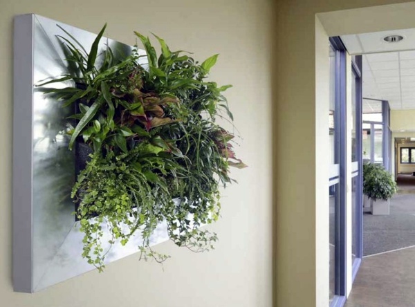 Wall decoration with plants - Live Picture refreshes the air and ambience Wall decoration with plants - Live Picture refreshes the air and ambience