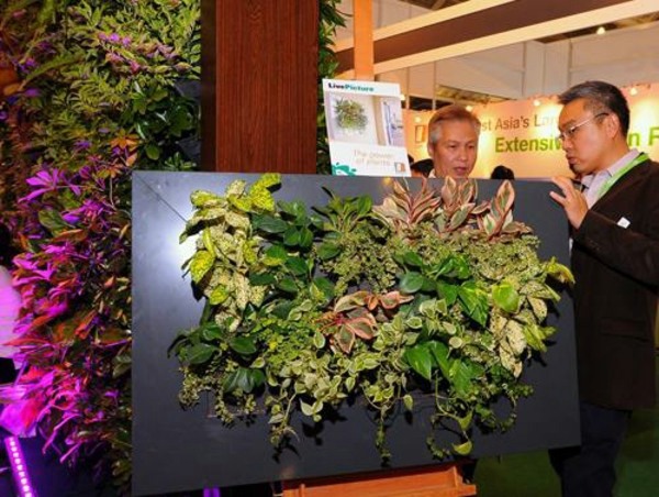 Wall decoration with plants - Live Picture refreshes the air and ambience
