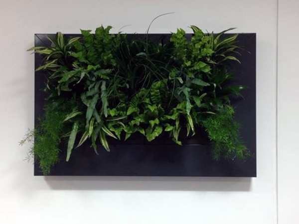 Wall decoration with plants - Live Picture refreshes the air and ambience