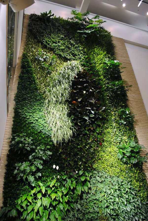 Wall decoration with plants - Live Picture refreshes the air and ambience