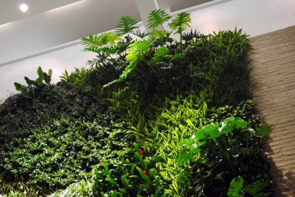Wall decoration with plants - Live Picture refreshes the air and ambience