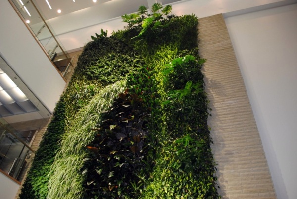 Wall decoration with plants - Live Picture refreshes the air and ambience