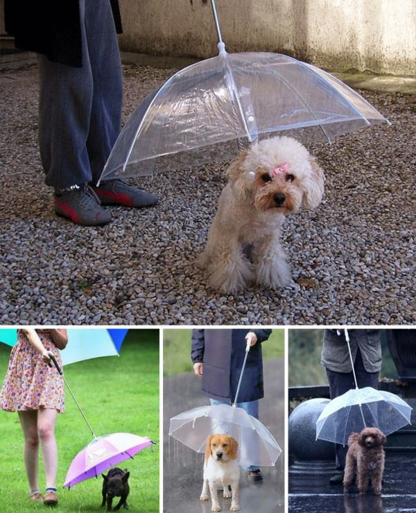 19 funny umbrellas that can brighten any rainy day 19 funny umbrellas that can brighten any rainy day
