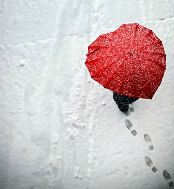 19 funny umbrellas that can brighten any rainy day 19 funny umbrellas that can brighten any rainy day