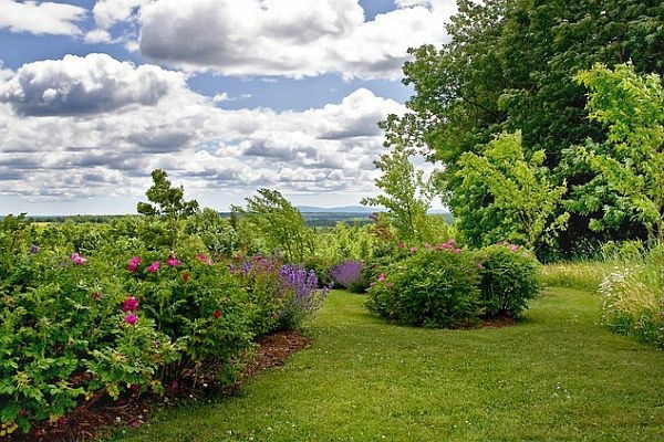 Create beautiful garden only with some simple tricks