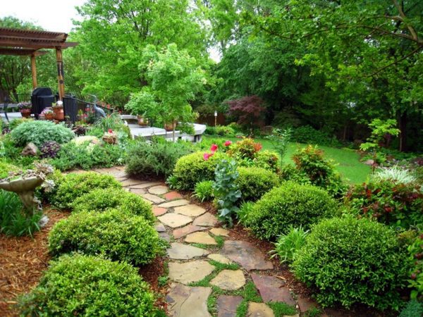Create beautiful garden only with some simple tricks Create beautiful garden only with some simple tricks