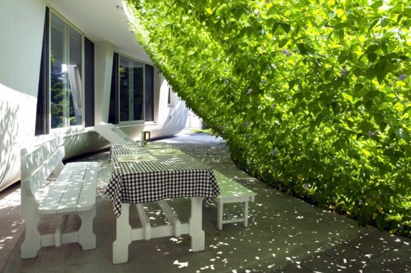 Organic House with curved vertical greening
