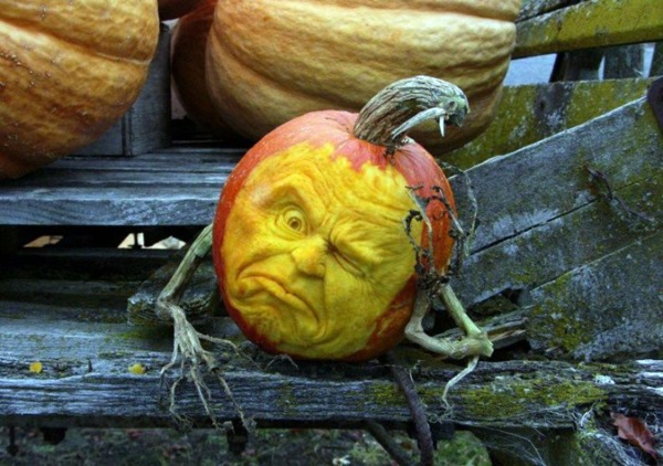 Halloween pumpkin Schnitzvorlagen - 20 thematic decoration ideas
