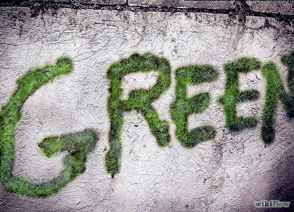 Create moss graffiti and host a "green" message Create moss graffiti and host a "green" message