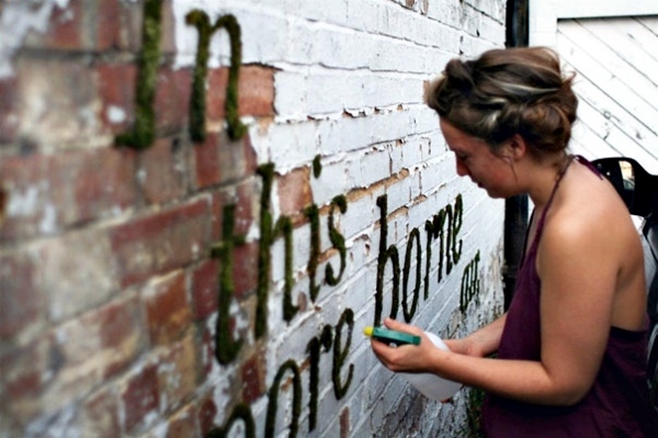 Create moss graffiti and host a "green" message Create moss graffiti and host a "green" message
