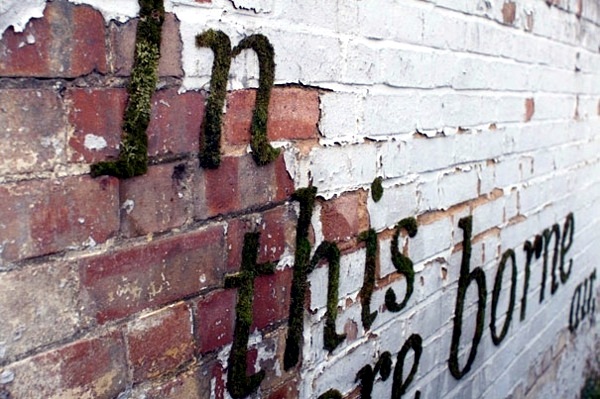 Create moss graffiti and host a "green" message Create moss graffiti and host a "green" message