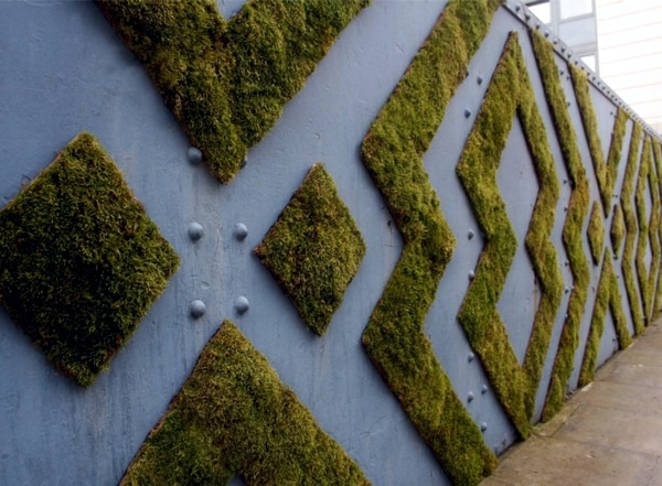 Create moss graffiti and host a "green" message Create moss graffiti and host a "green" message