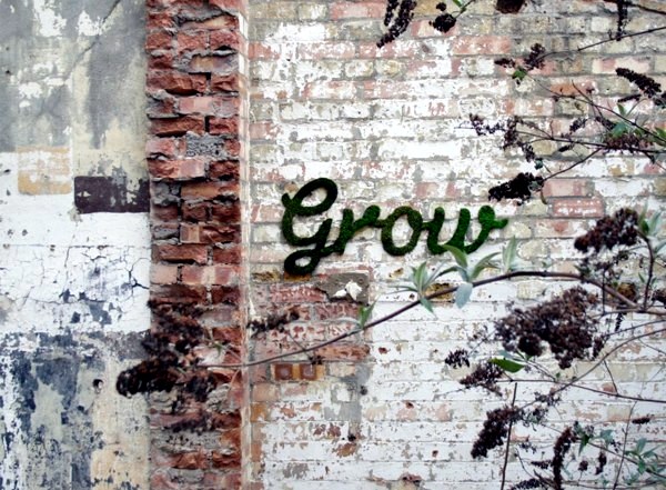 Create moss graffiti and host a "green" message Create moss graffiti and host a "green" message