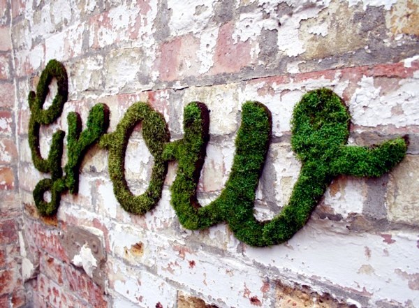 Create moss graffiti and host a "green" message Create moss graffiti and host a "green" message