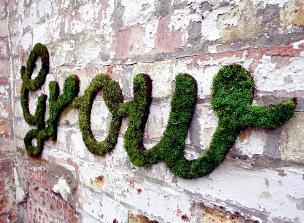 Create moss graffiti and host a "green" message Create moss graffiti and host a "green" message
