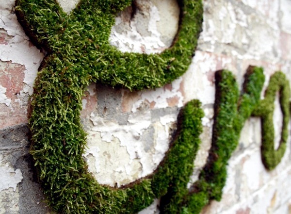 Create moss graffiti and host a "green" message Create moss graffiti and host a "green" message