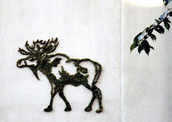 Create moss graffiti and host a "green" message Create moss graffiti and host a "green" message