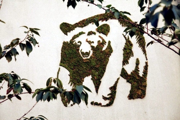 Create moss graffiti and host a "green" message Create moss graffiti and host a "green" message