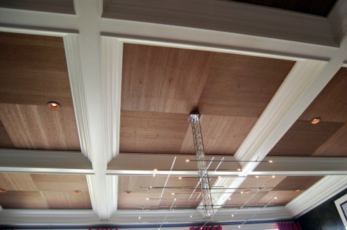 Fantastic ceiling - 50 great ideas
