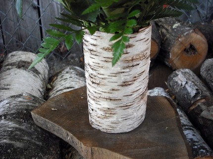 15 ideas for decorating your interior with tree bark 15 ideas for decorating your interior with tree bark
