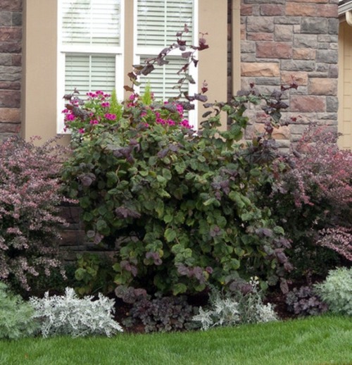 Minimalist garden design with blue gray and purple colors