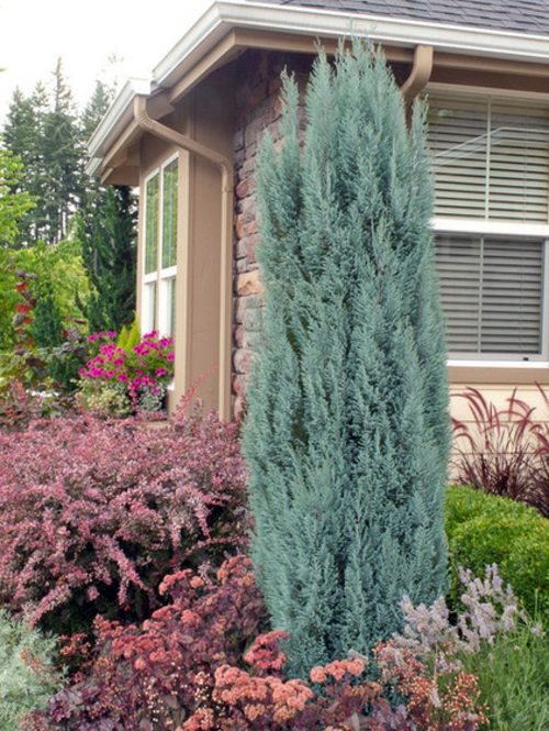 Minimalist garden design with blue gray and purple colors