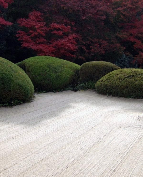 103 examples of modern garden design