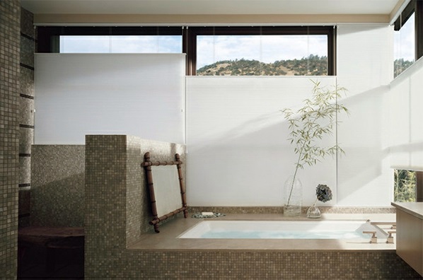 Bathrooms from Asia
