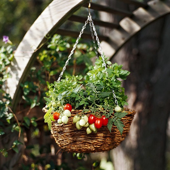 20 interesting, fresh ideas for growing vegetables in containers