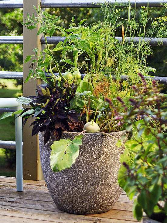 20 interesting, fresh ideas for growing vegetables in containers
