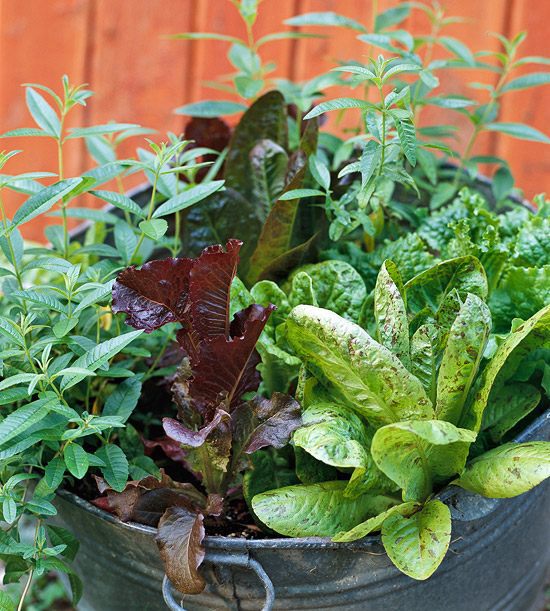 20 interesting, fresh ideas for growing vegetables in containers 20 interesting, fresh ideas for growing vegetables in containers
