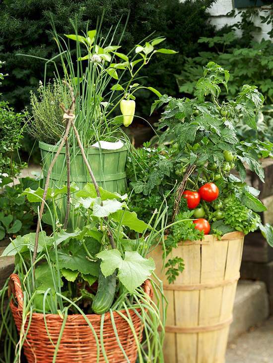 20 interesting, fresh ideas for growing vegetables in containers 20 interesting, fresh ideas for growing vegetables in containers