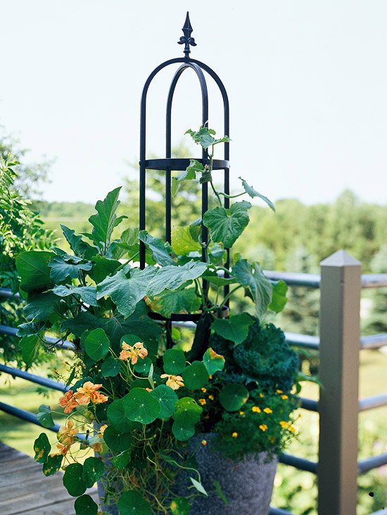 20 interesting, fresh ideas for growing vegetables in containers 20 interesting, fresh ideas for growing vegetables in containers