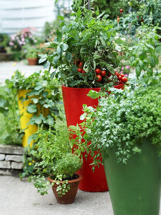 20 interesting, fresh ideas for growing vegetables in containers