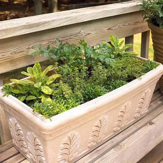 20 interesting, fresh ideas for growing vegetables in containers